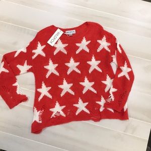 Wildfox Sweater